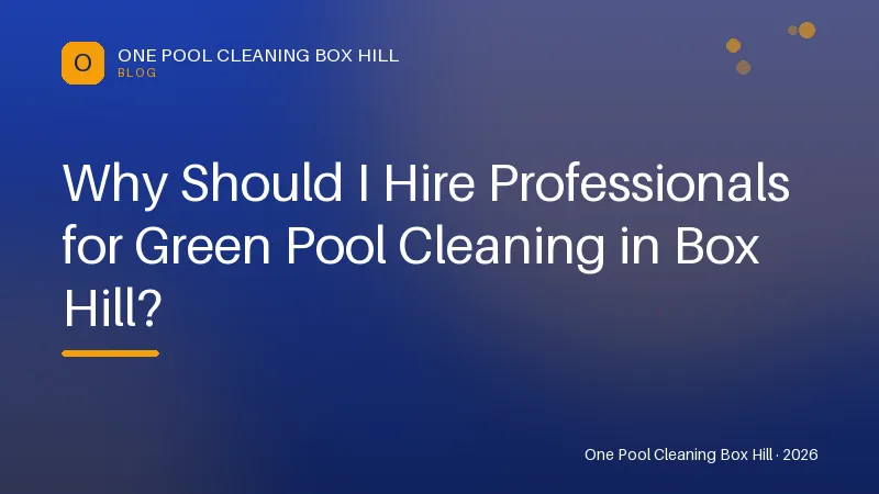 Why Should I Hire Professionals for Green Pool Cleaning in Box Hill? — Tips article by One Pool Cleaning Box Hill