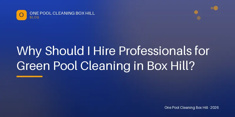 Why Should I Hire Professionals for Green Pool Cleaning in Box Hill? — Blog guide