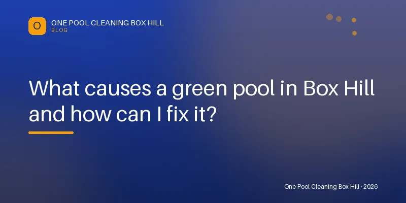 What causes a green pool in Box Hill and how can I fix it? — Blog guide